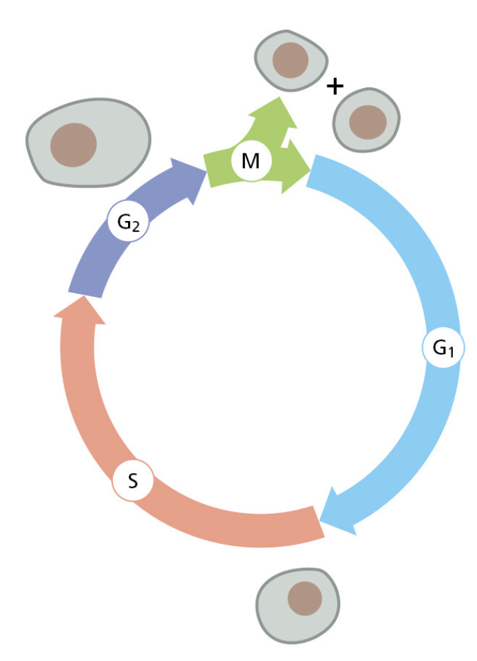 Figure 5-29.png